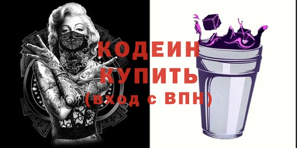 ECSTASY Богородицк