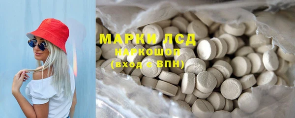 ECSTASY Богородицк
