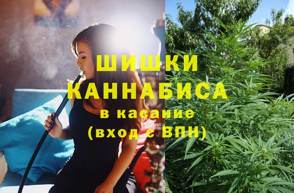 ECSTASY Богородицк