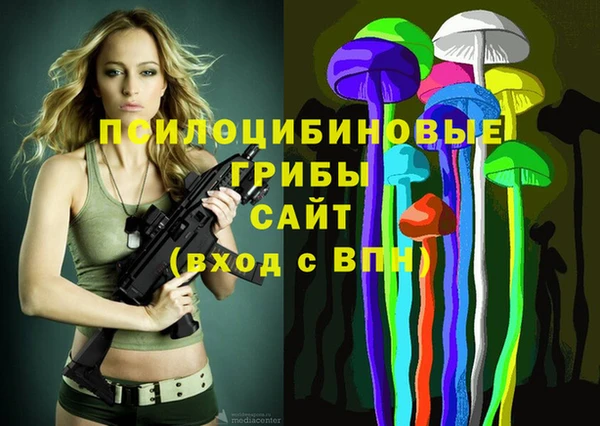 хмурый Белокуриха