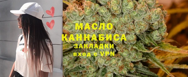 ECSTASY Богородицк