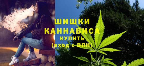 хмурый Белокуриха